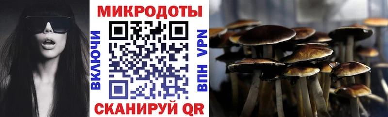 где найти наркотики  Осташков  Галлюциногенные грибы Psilocybine cubensis 